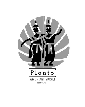 Planto Rare Plant Market