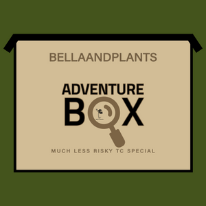 Adventure Box 