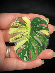 Leafy Phone Grip