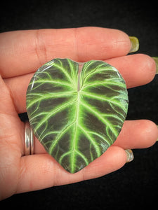 Leafy Phone Grip